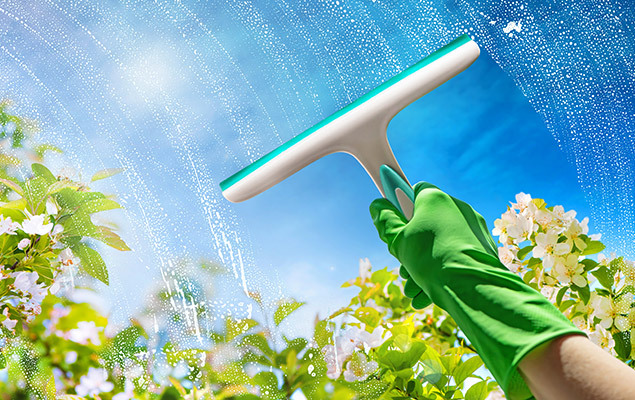 squeegee window washing