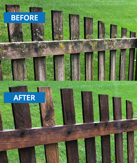 Fence Cleaning