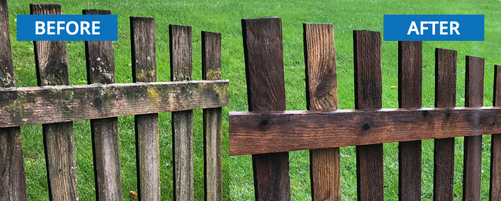 Fence Cleaning