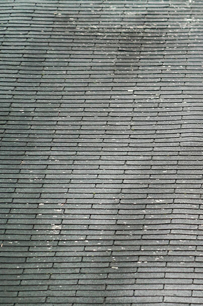 Roof Mold Removal